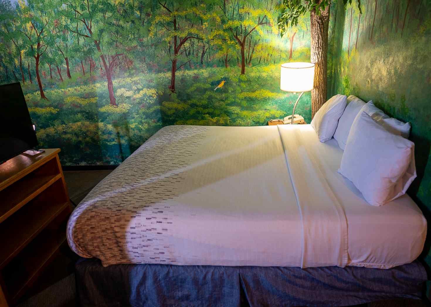 room image four
